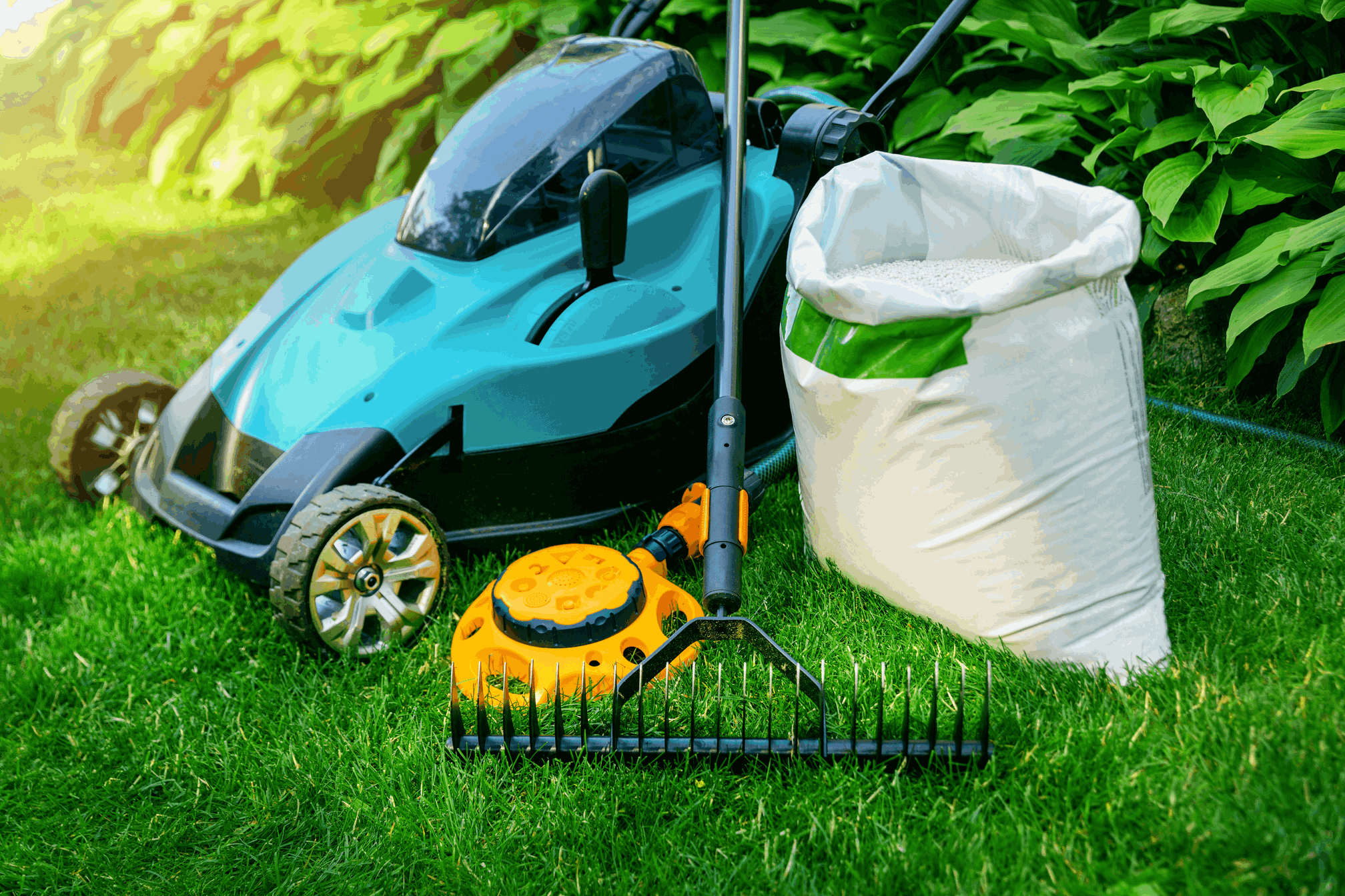 Top Must-Have Landscaping Tools for Every Professional